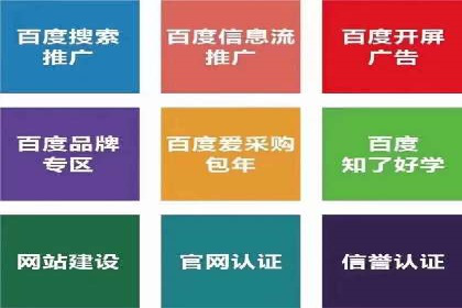 SEM主管实战案例：广告投放策略优化